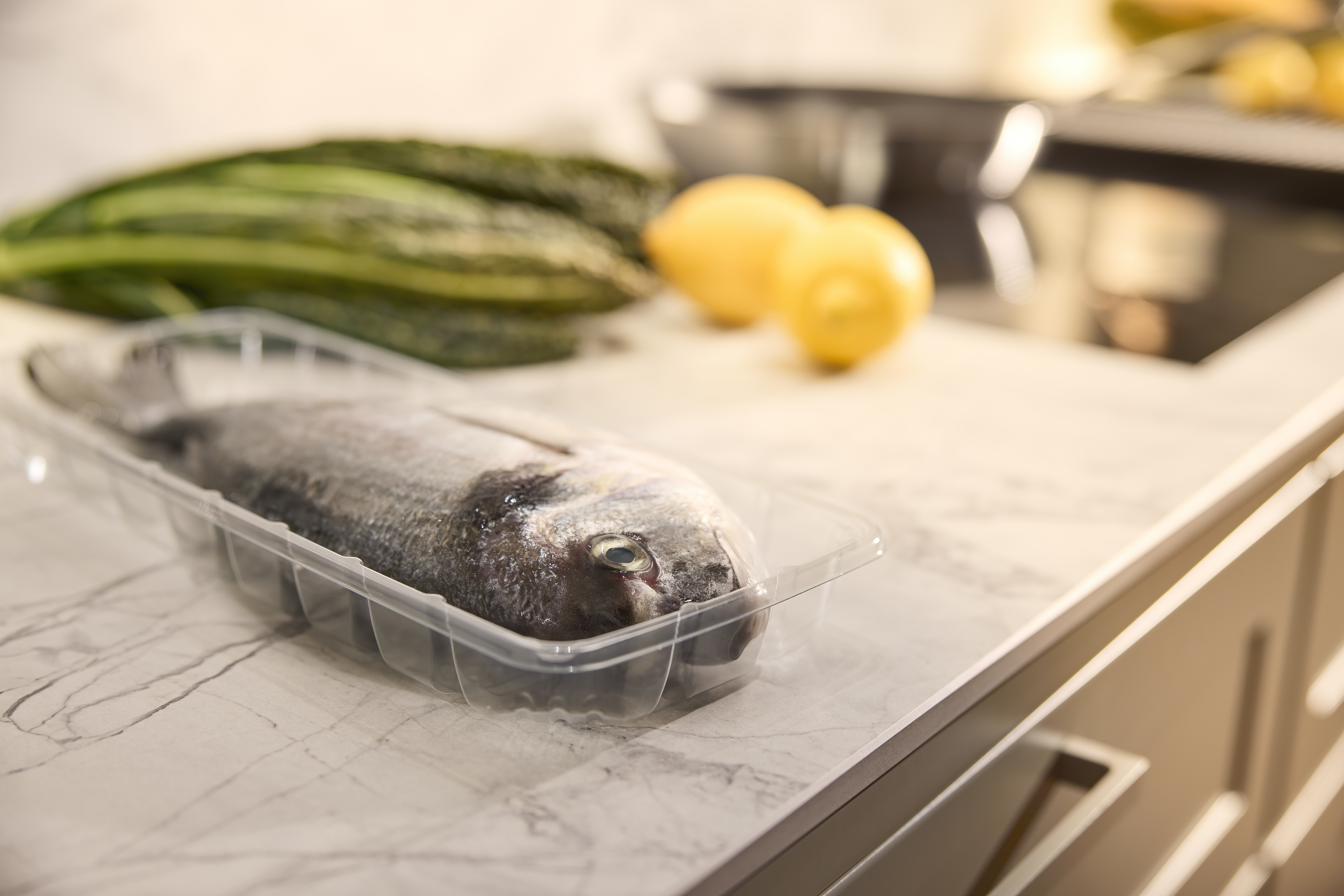Wrapet_Transparent_Fish_Kitchen (1)