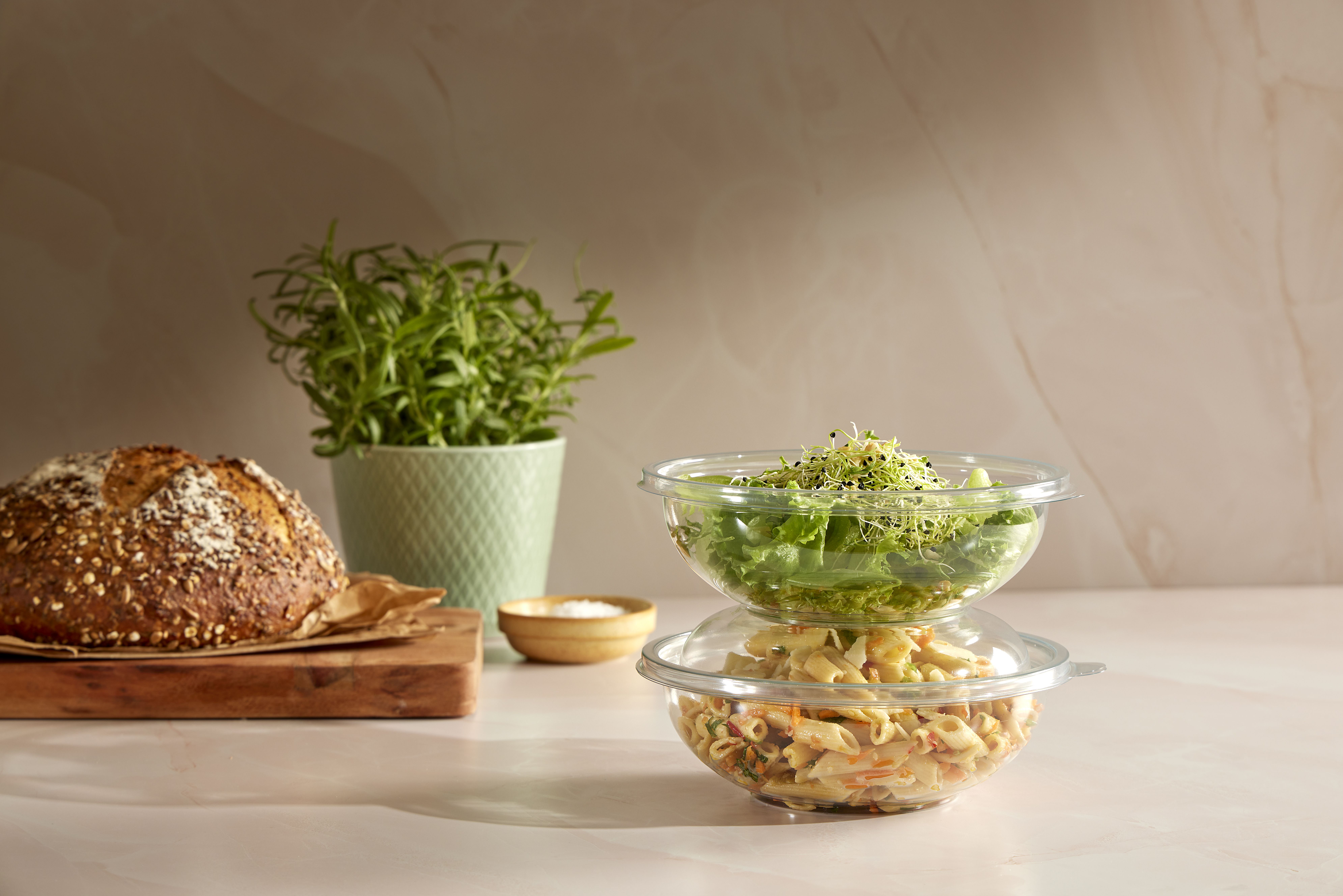 APET_Transparent_Salad_Studio (3)