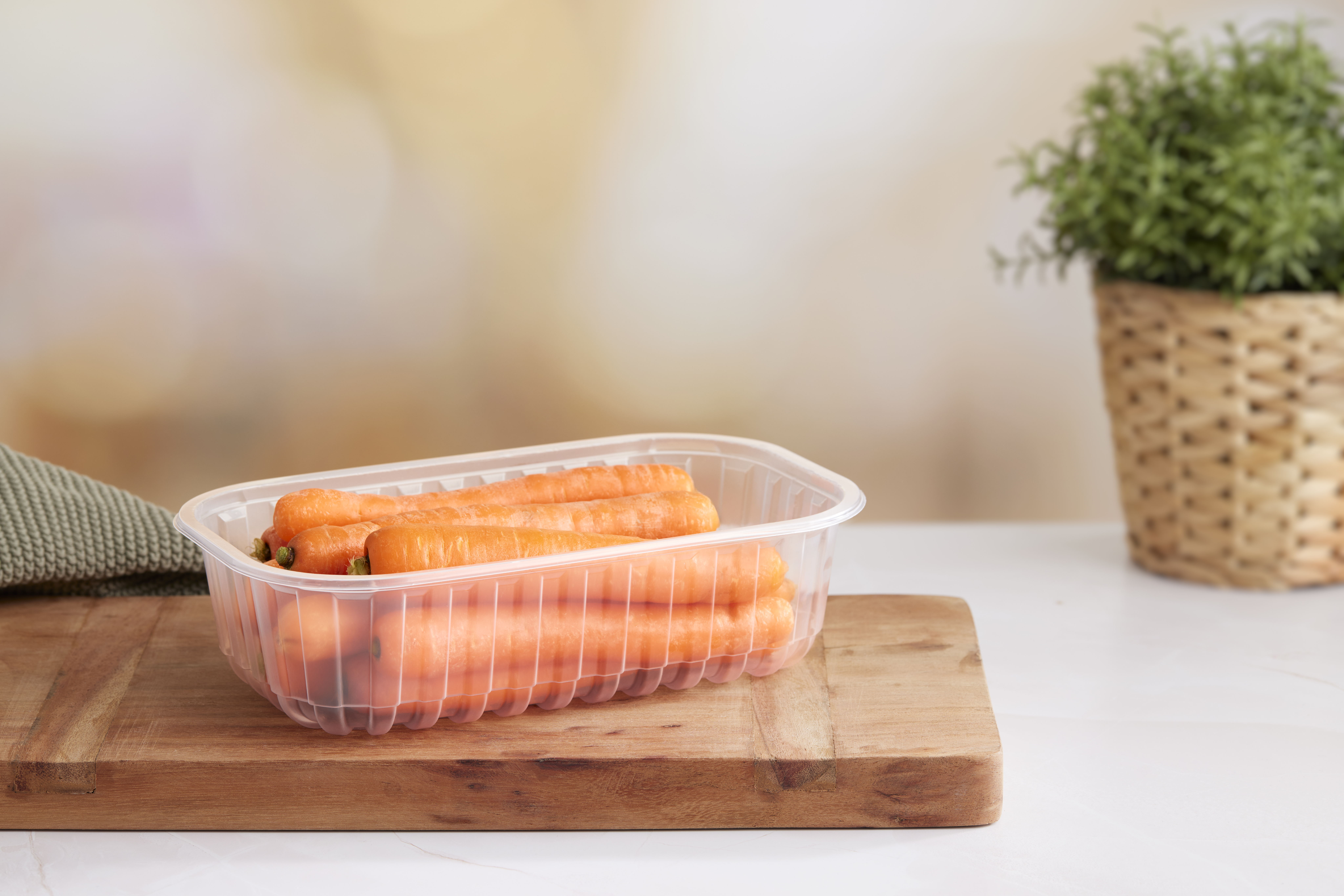 PP_Transparent_Carrots_Studio