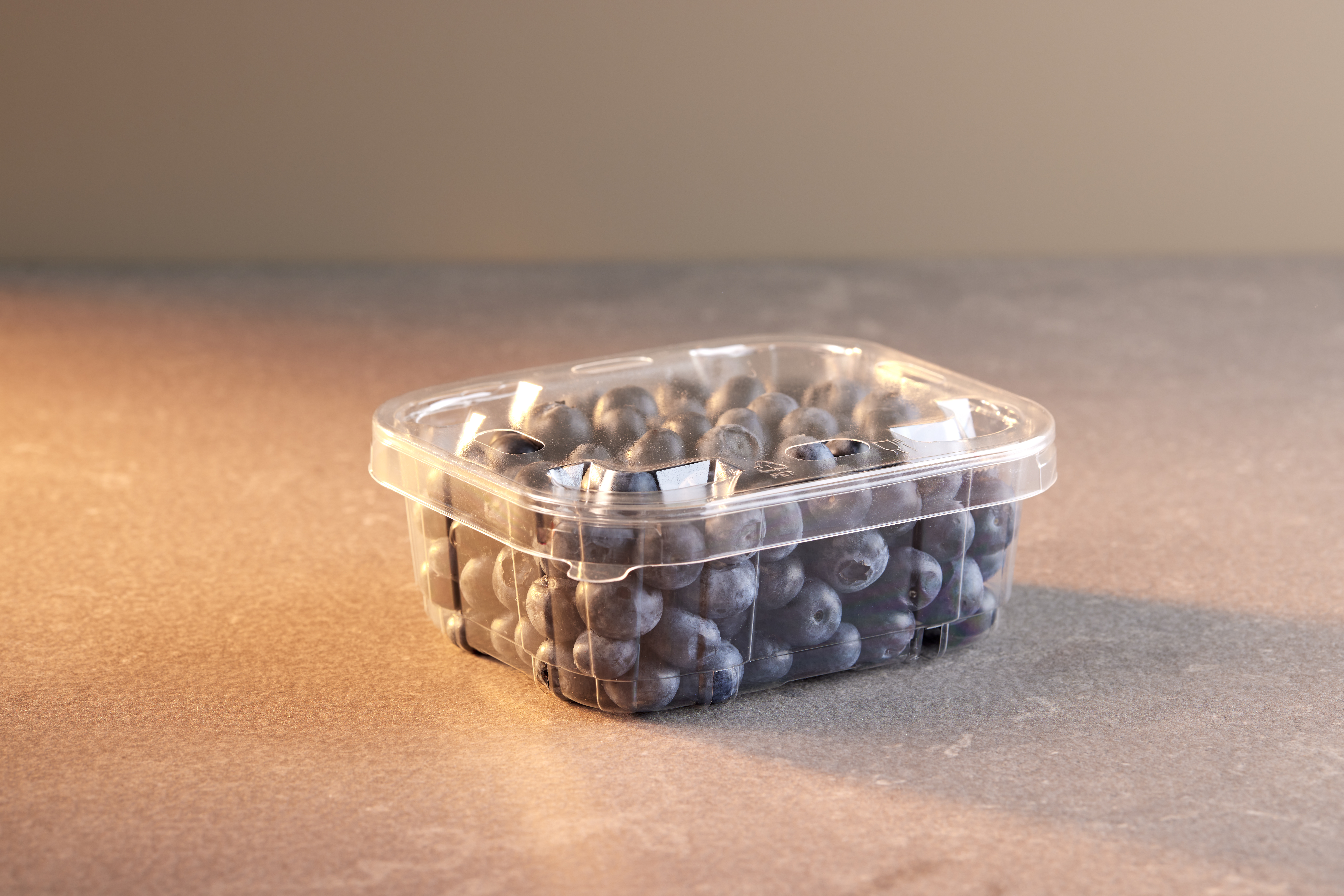 APET_Transparent_Blueberry_Fresh_ fruit(6)