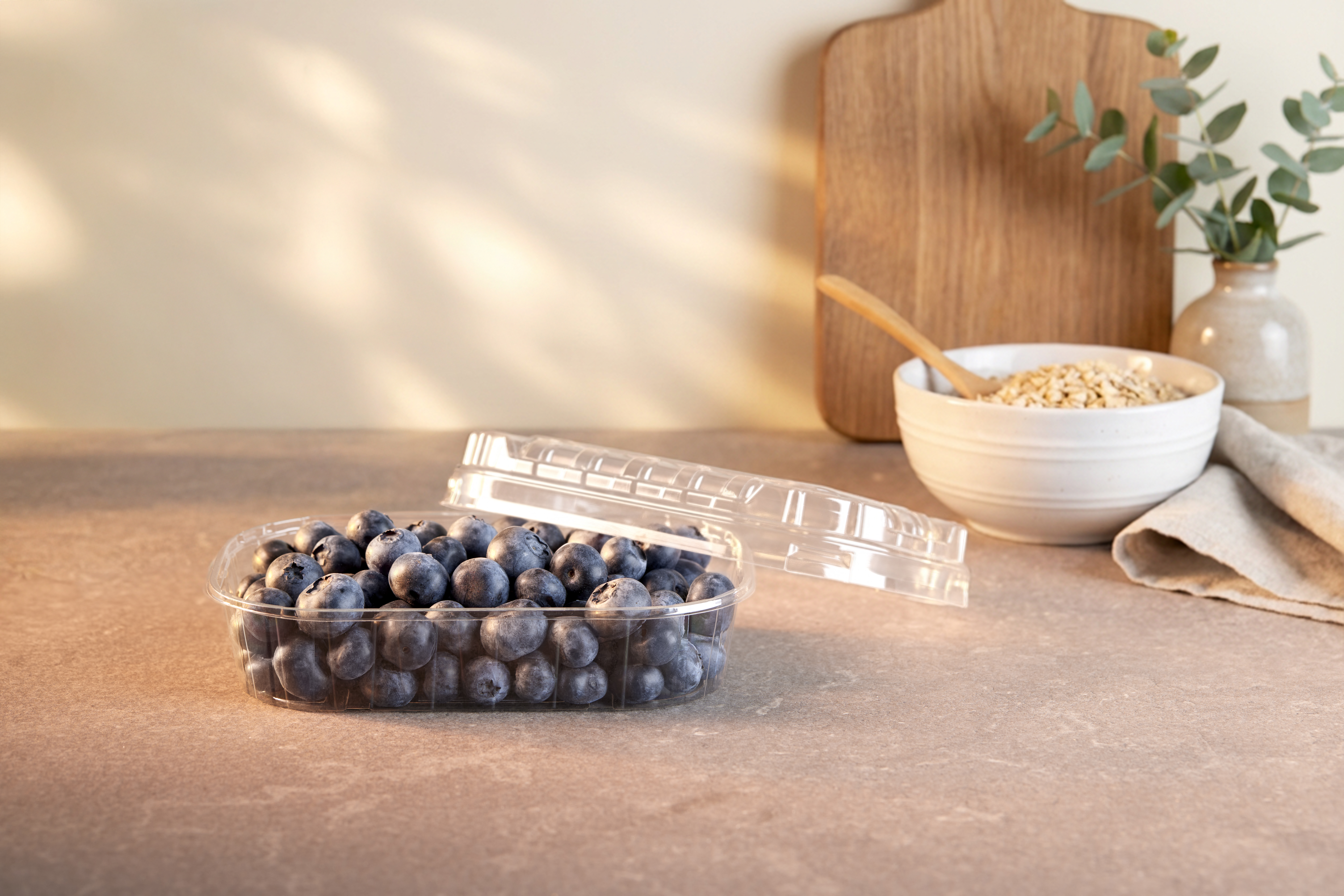 APET_Transparent_Blueberry_Fresh_ fruit(3)